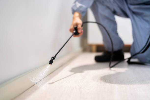 Bed Bug Pre-Treatment Preparation Assessment in Marina