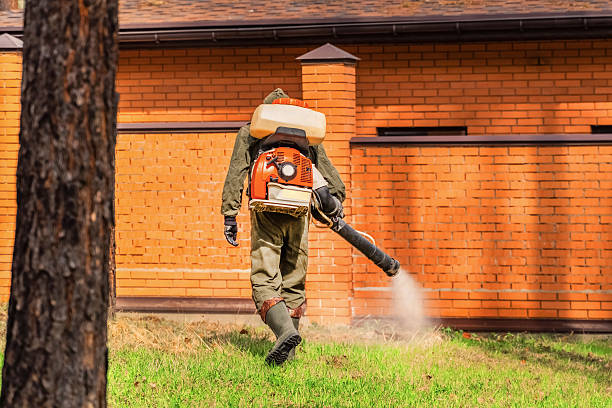 Bed Bug Clearance Verification and Documentation in Marina